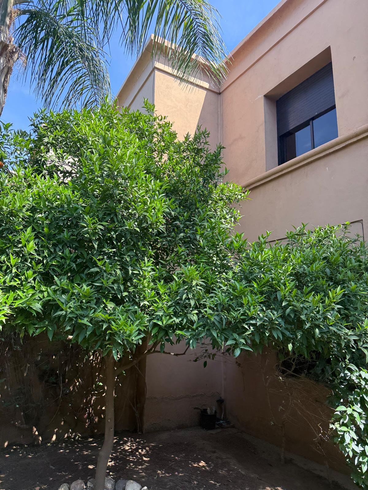 🏡✨ OPPORTUNITÉ RARE – VILLA À VENDRE / À LOUER